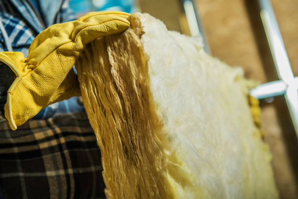 Best Residential Insulation in Wenona, IL